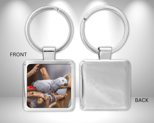 African Grey on Branch Square Metal Keychain