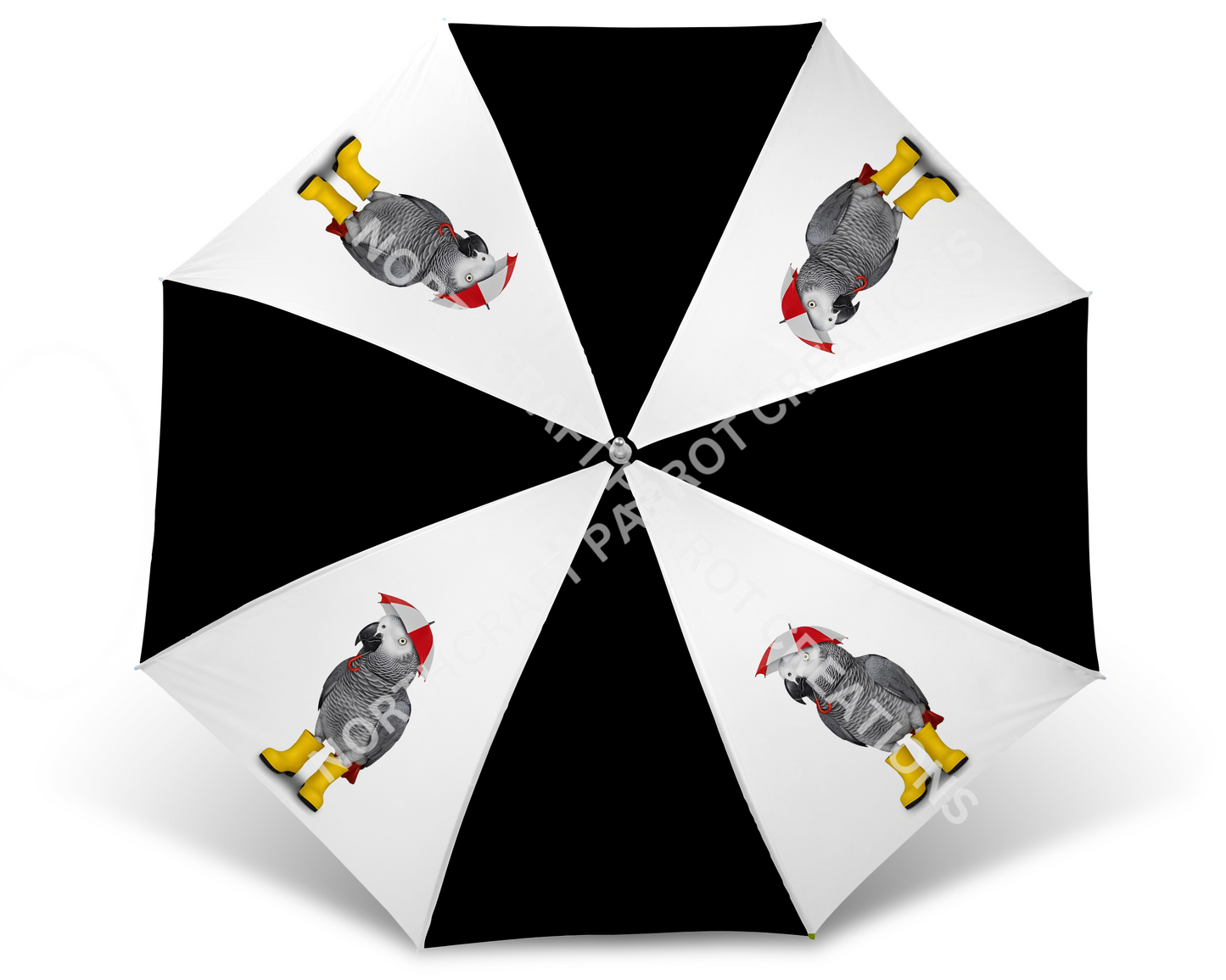 African Grey Wearing Rain Boots Umbrella