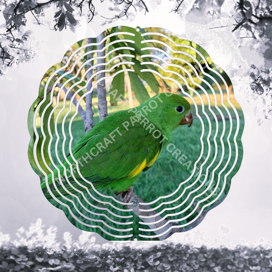 Amazon on Branch in Garden 8" or 10" Wind Spinner