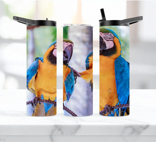 Blue & Gold Macaw Pair on a Branch 20oz or 30oz Duo-lid Tumbler