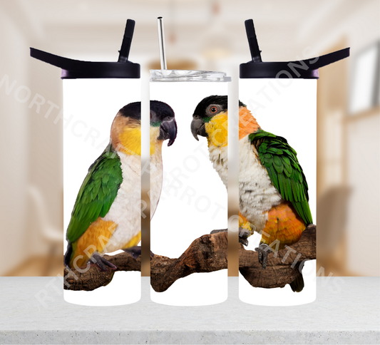 Caique (Black Headed) Pair on a Branch 20oz or 30oz Tumbler