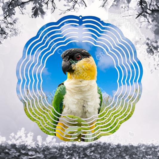 Caique Against a Blue Sky 8" or 10" Wind Spinner