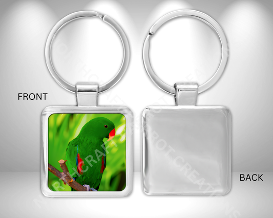 Eclectus Green Male on Branch Square Metal Keychain
