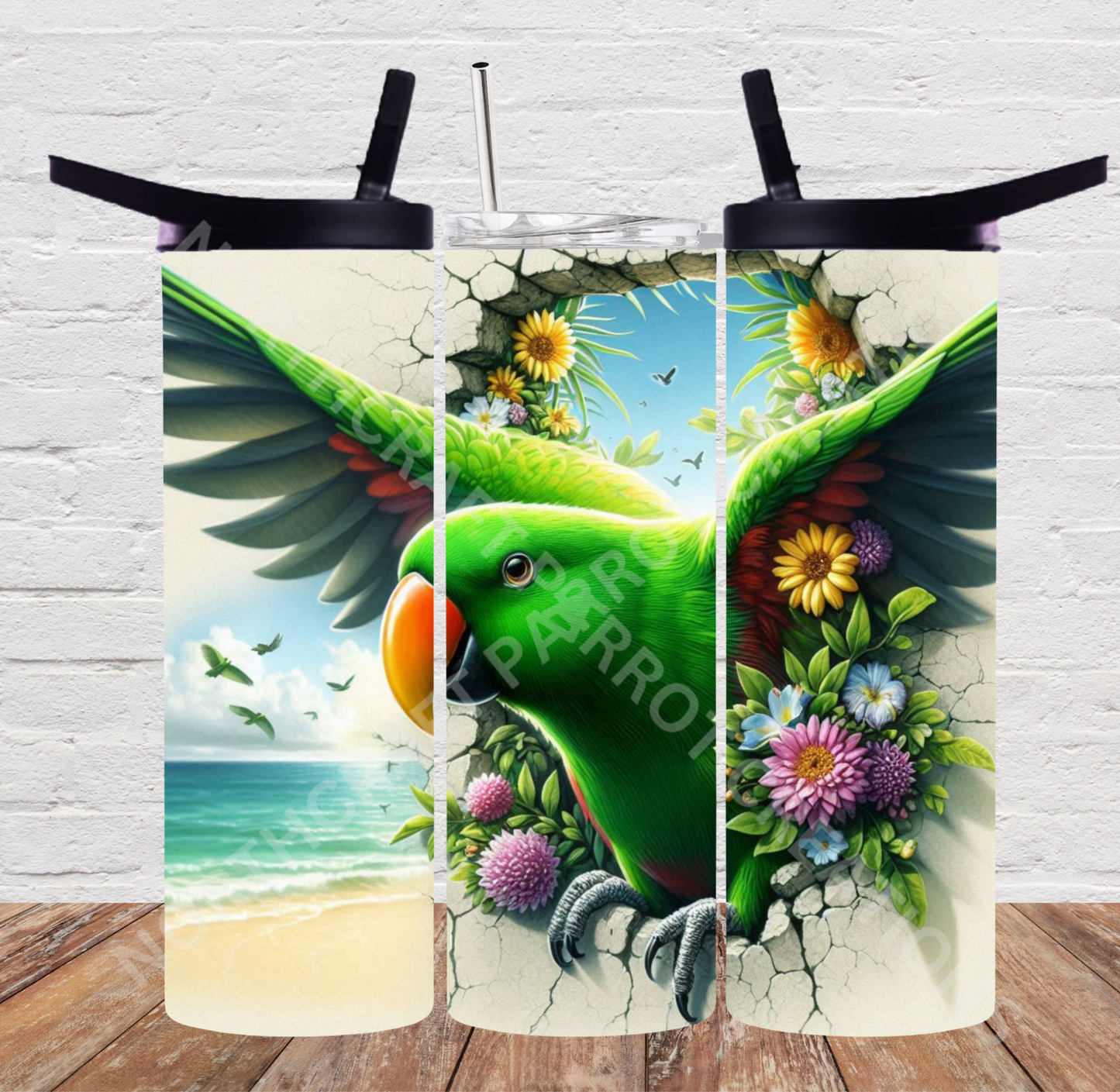 Eclectus (Green Male) Hole in Wall Beach Scene 20oz or 30oz Tumbler