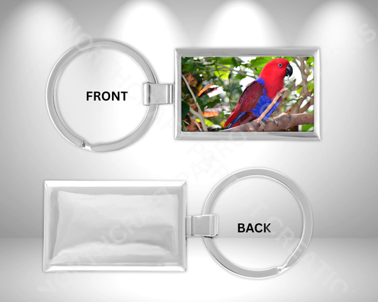 Eclectus Red Female Perched in Tree Rectangle Metal Keychain
