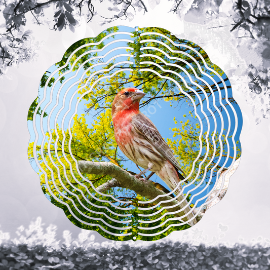 Finch Perched in Tree 8" or 10" Wind Spinner