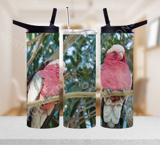 Galah Cockatoo (Rose-Breasted) Pair on Branch 20oz or 30oz Tumbler