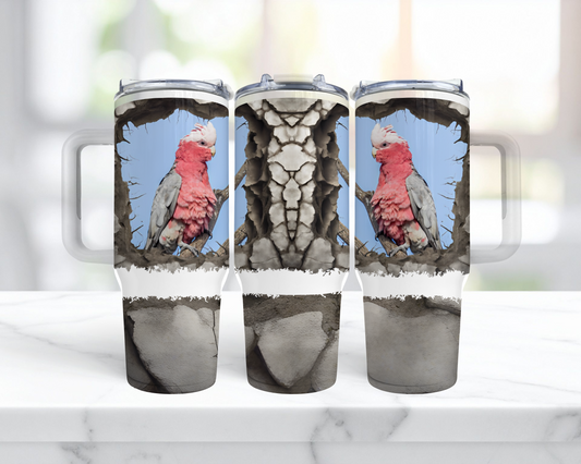 Galah Cockatoo (Rose Breasted) Cracked Wall Frame 40oz Tumbler