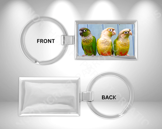 Green Cheek Conure Trio Proudly Perched Rectangle Metal Keychain