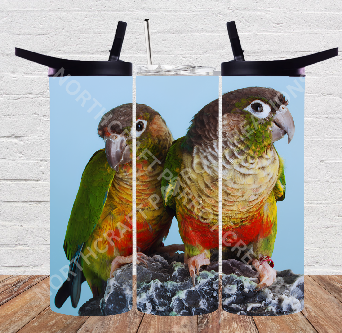 Green Cheek Conure Pair on Rock 20oz or 30oz Tumbler