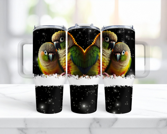 Green Cheek Conures Black Star Background 40oz Tumbler