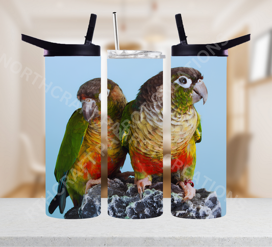 Green Cheek Conure Pair on Rock 20oz or 30oz Tumbler