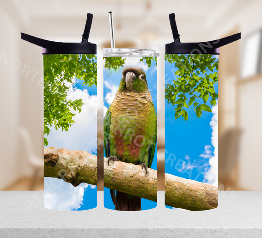 Green Cheek Conure on Branch in Sky 20oz or 30oz Tumbler