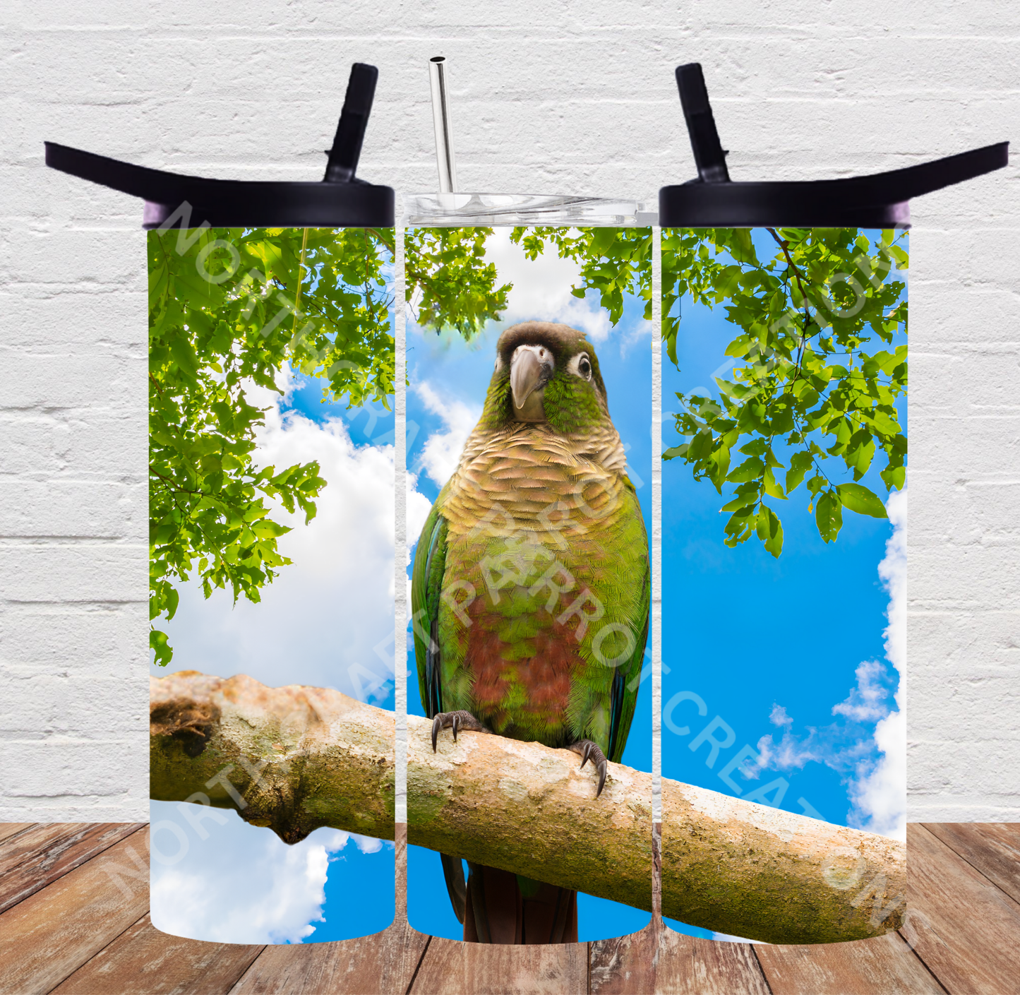 Green Cheek Conure on Branch in Sky 20oz or 30oz Tumbler