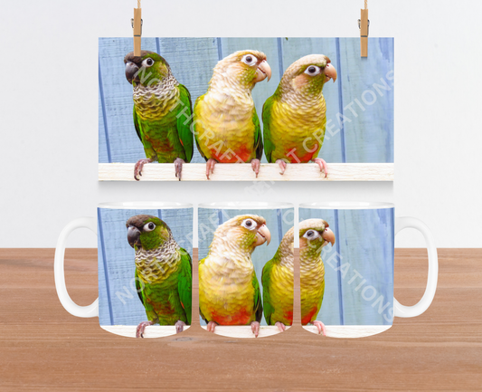 Green Cheek Conure Trio on a Perch 15oz Ceramic Mug