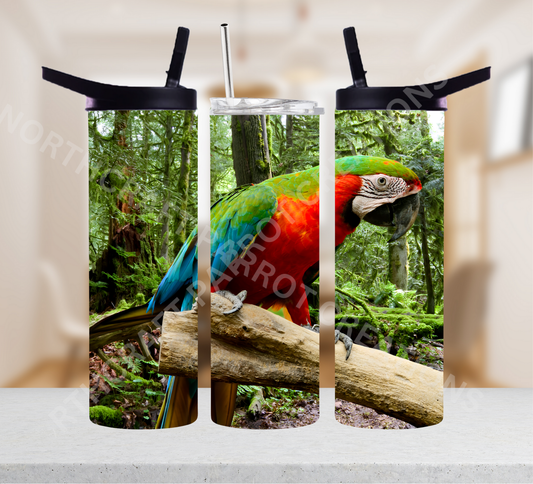 Harlequin Macaw in Rainforest 20oz or 30oz Tumbler