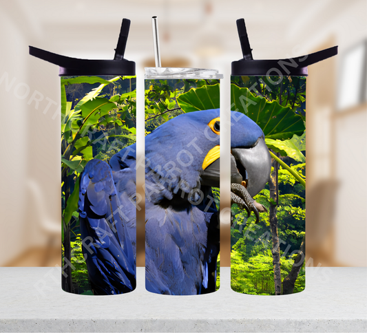 Hyacinth Macaw with a Rainforest Background 20oz or 30oz Tumbler