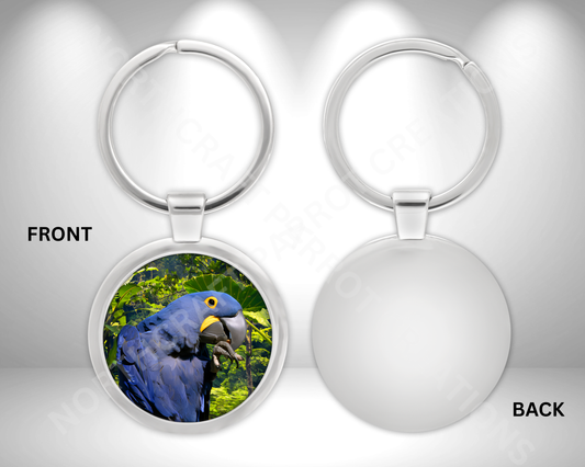 Hyacinth Macaw in the Rainforest Circle Metal Keychain