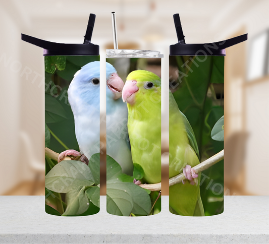 Parrotlet Pair Green and Blue 20oz or 30oz Tumbler