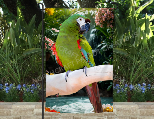 Severe Macaw on Branch Garden Flag