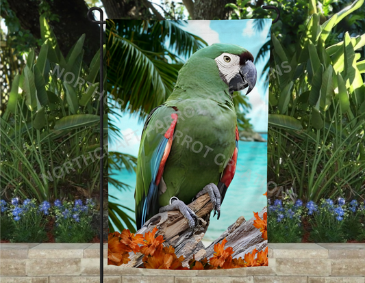 Severe Macaw with Flowers on Beach Garden Flag