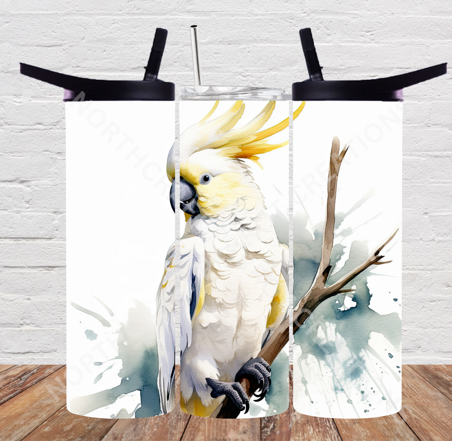 Sulfur Crested Cockatoo on a White Background