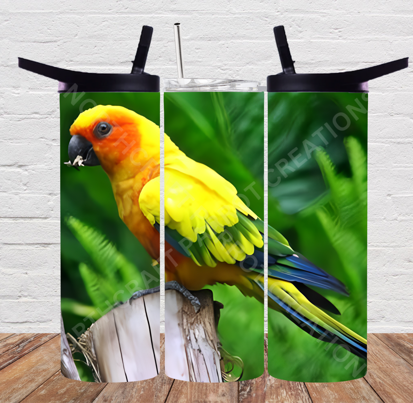 Sun Conure on Stump 20oz or 30oz Tumbler