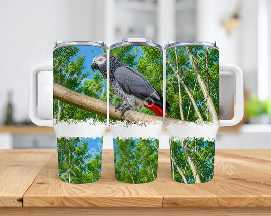 African Grey on Branch, Nature Setting 40oz Stainless Steel Tumbler