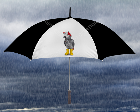 African Grey Wearing Rain Boots Umbrella