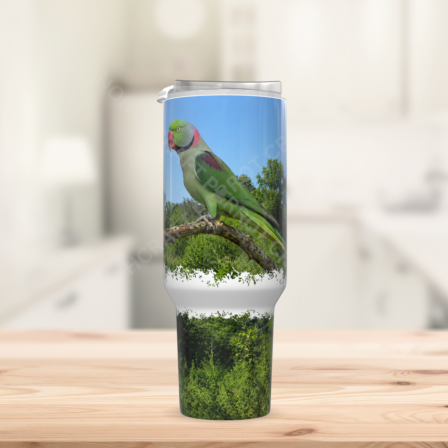 Alexandrine on Branch with Sky, Nature Setting 40oz Stainless Steel Parrot Tumbler