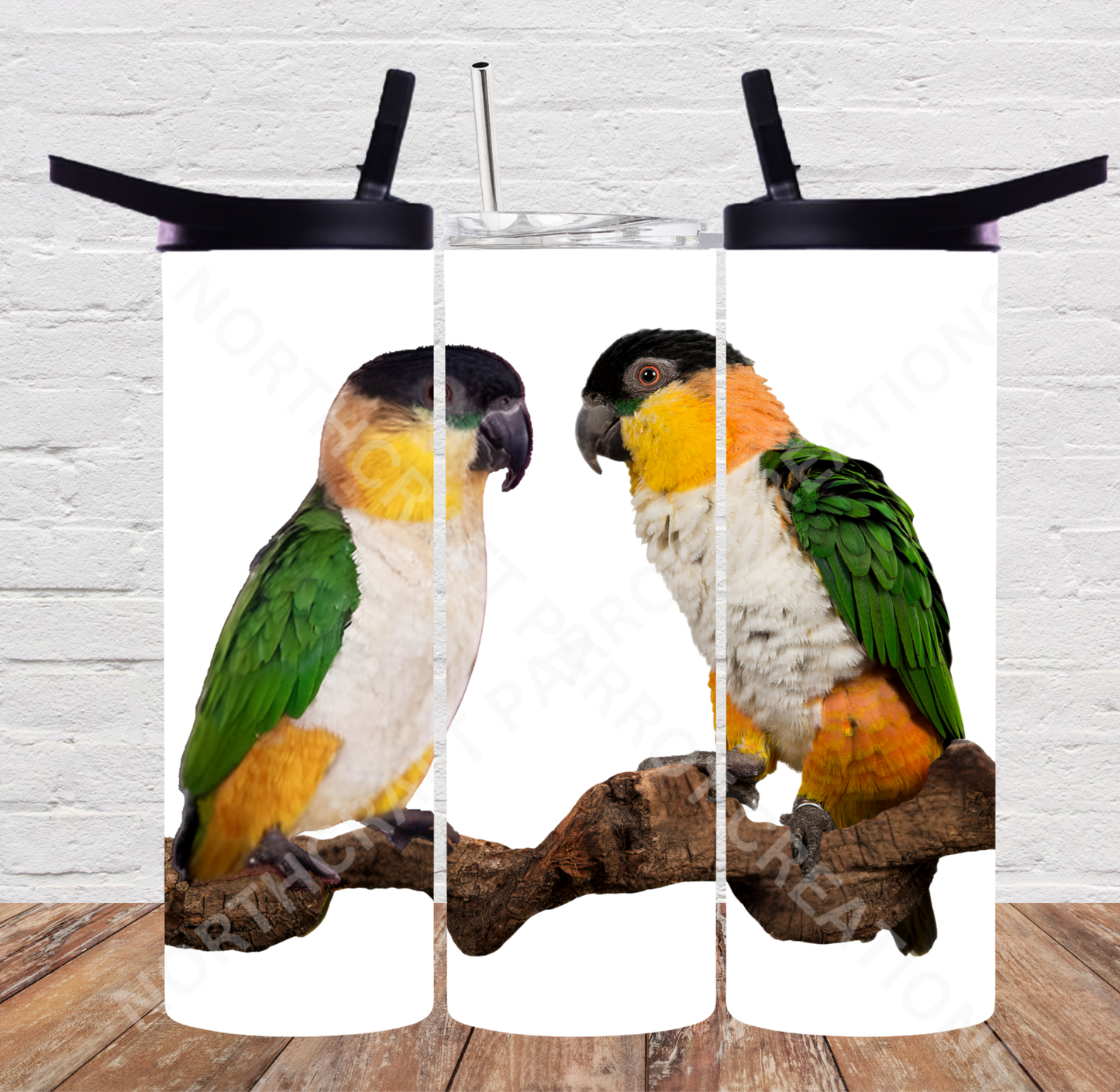 Caique (Black Headed) Pair on a Branch 20oz or 30oz Tumbler