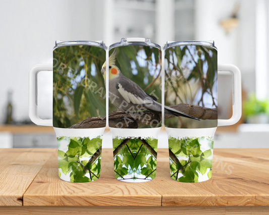 Cockatiel on branch in Nature Setting 40oz Stainless Steel Parrot Tumbler