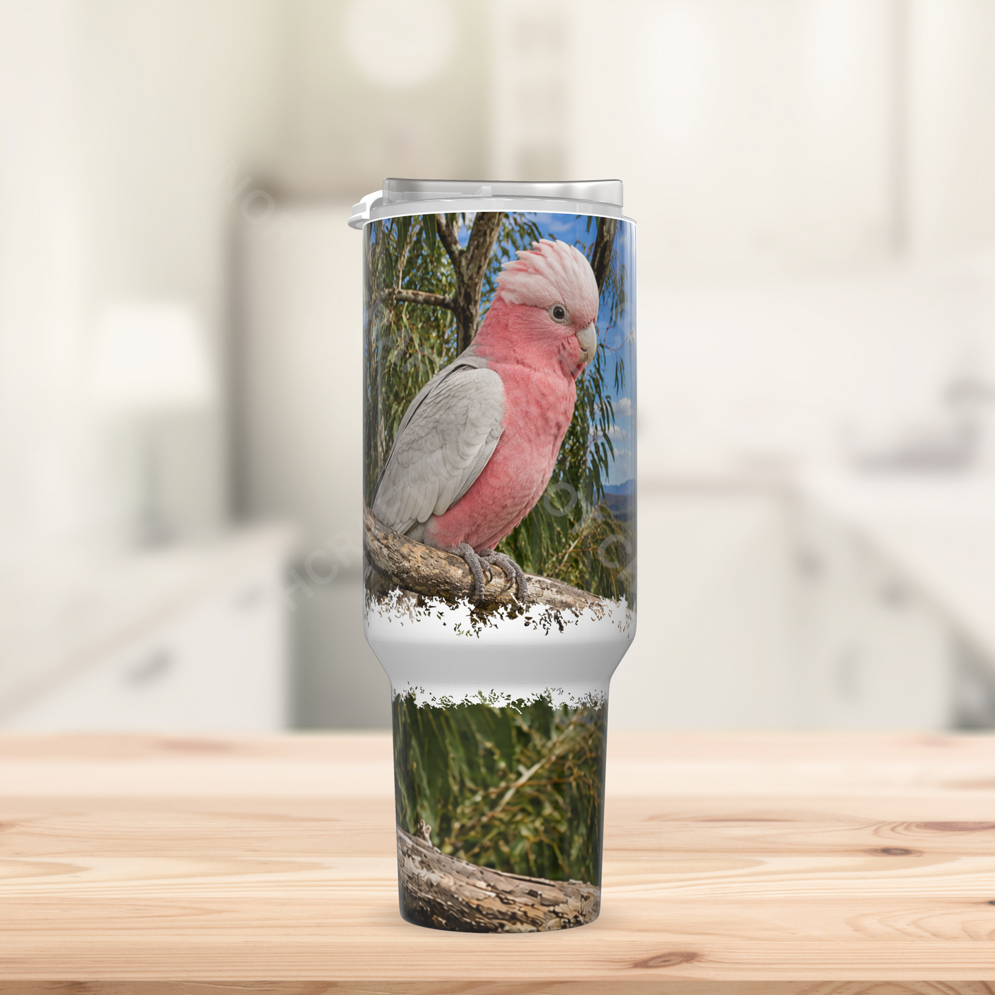 Galah Cockatoo (Rose-Breasted) with Scenic Overview 40oz Stainless Steel Parrot Tumbler