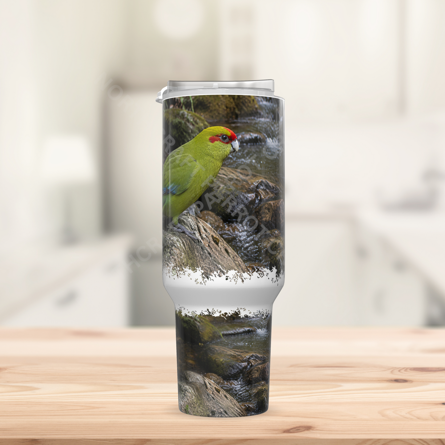 Kakariki on Rocks Next to a Stream 40oz Stainless Steel Parrot Tumbler