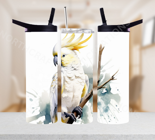 Sulfur Crested Cockatoo on a White Background