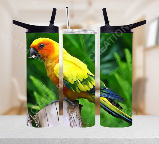 Sun Conure on Stump 20oz or 30oz Tumbler