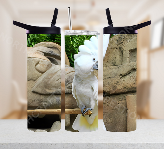 Umbrella Cockatoo on a Rock Background 20oz or 30oz Tumbler